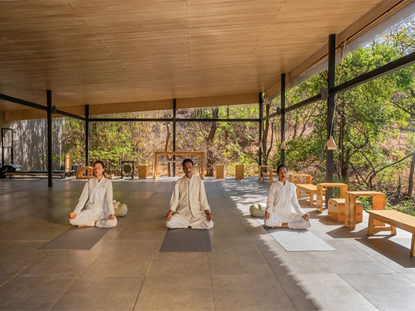 Embark Upon a Transformational Journey to Wellbeing with Dharana at Shillim